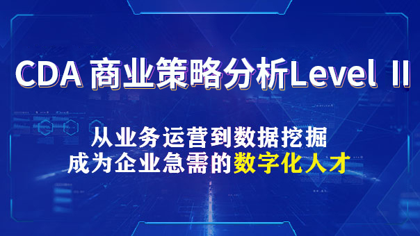 CDA 商业策略分析Level Ⅱ